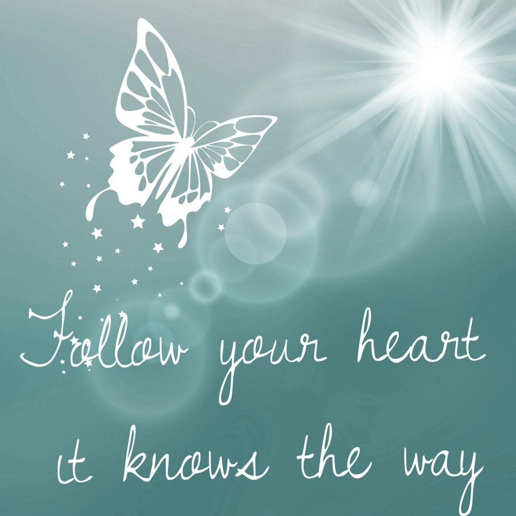 Follow your heart