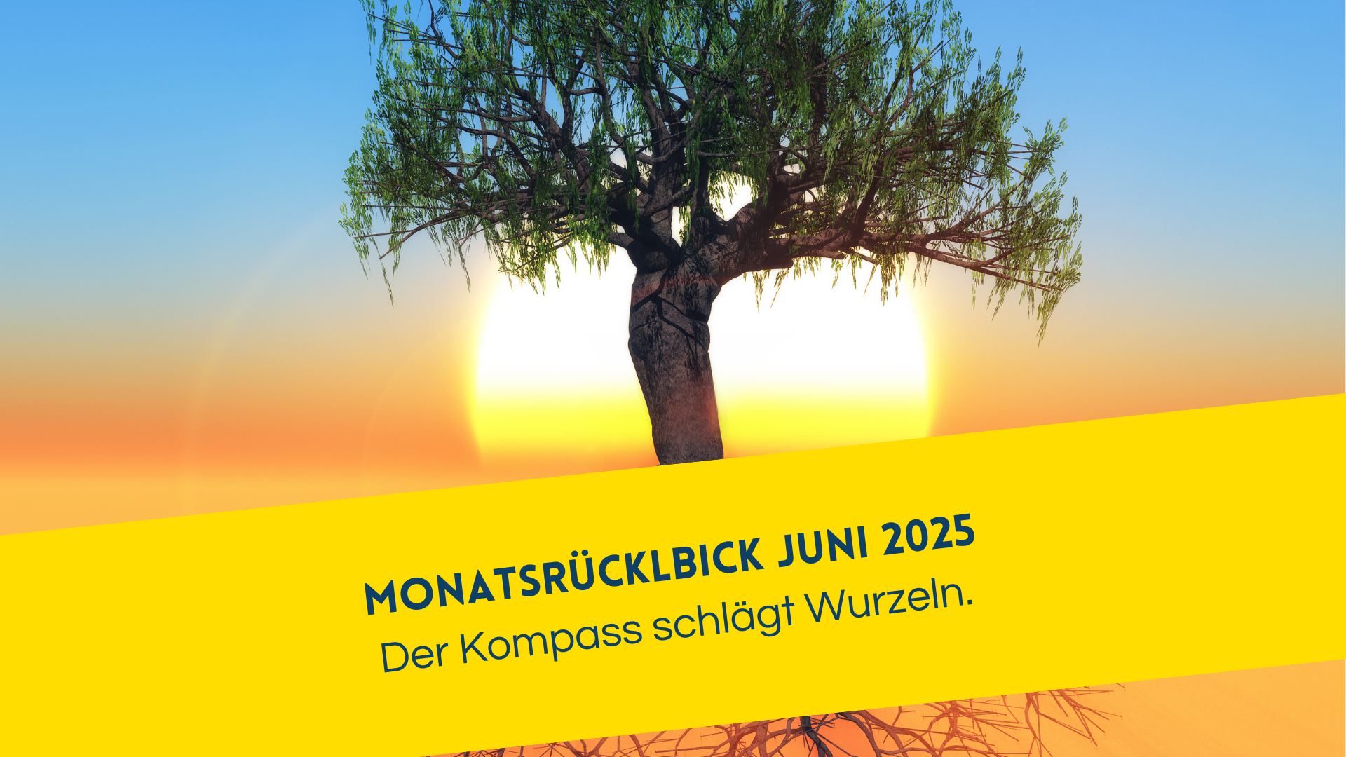 Monatsrückblick Juni 2025 sandra Jost. Der Kompass schlägt Wuzeln. Erfolgreicher Start der Community JobLife Kompass