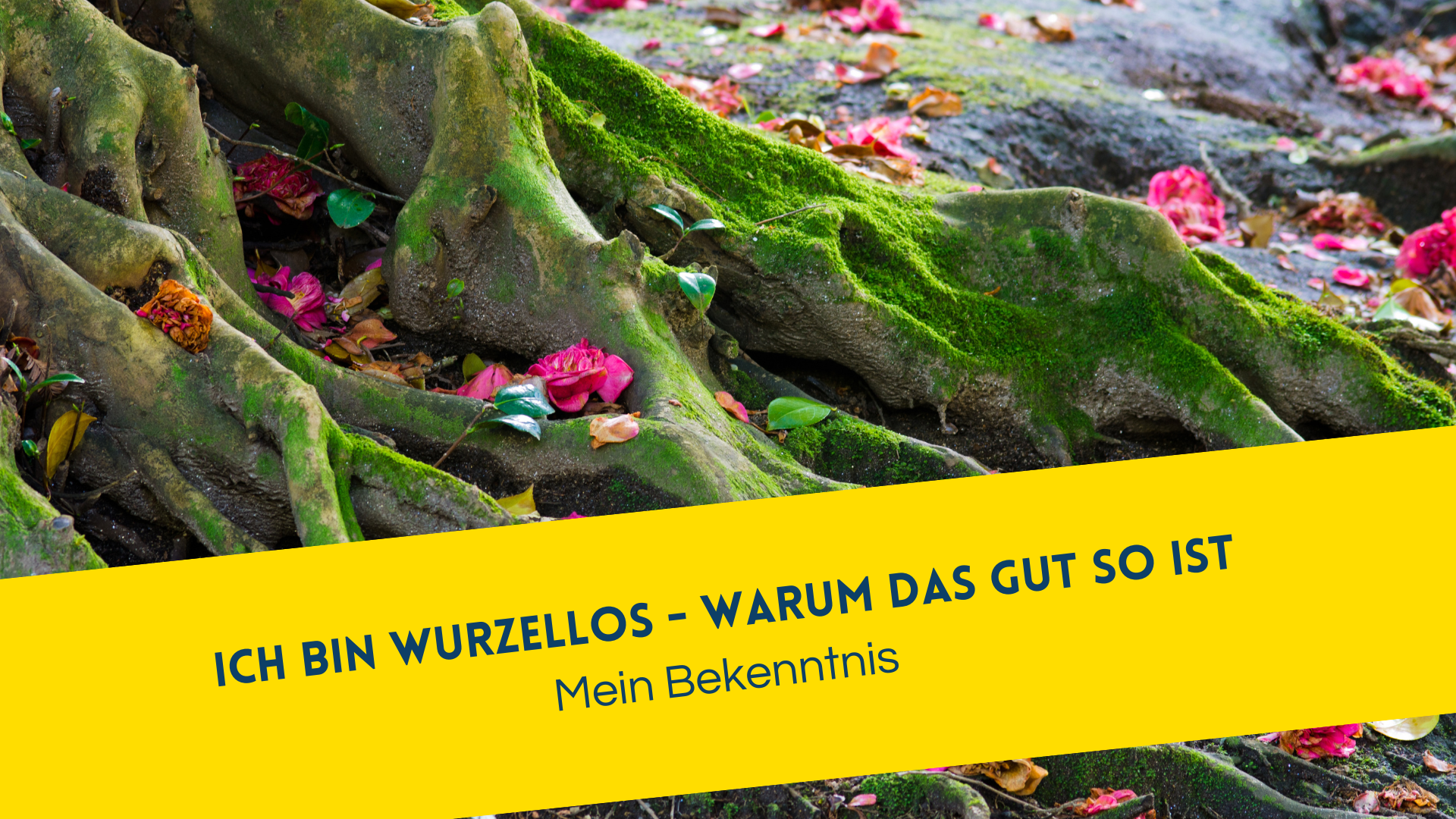 Ich bin wurzellos - und warum das gut ist. Mein Bekenntnis, Sandra Jost, für die Einzigartigkeit. Verwurzelter Baum mit Blüten.