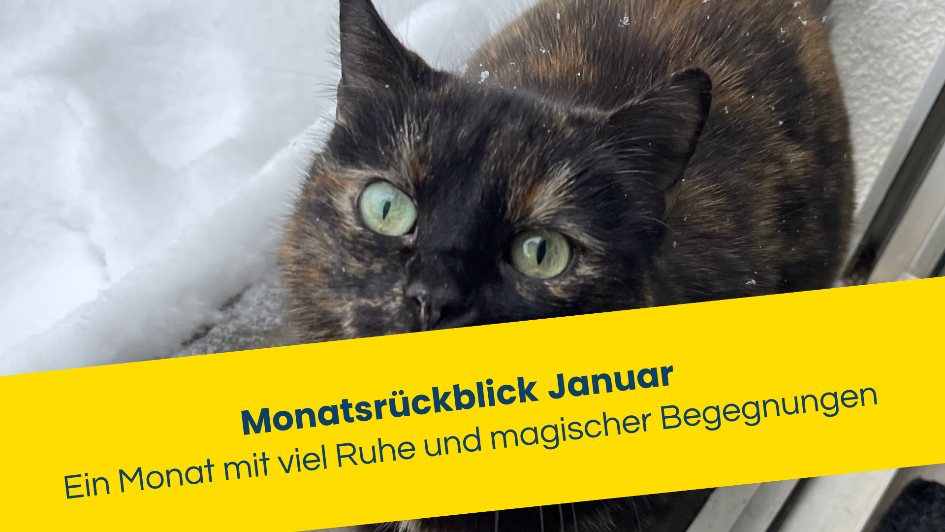 Monatsrückblick Januar Sandra Jost