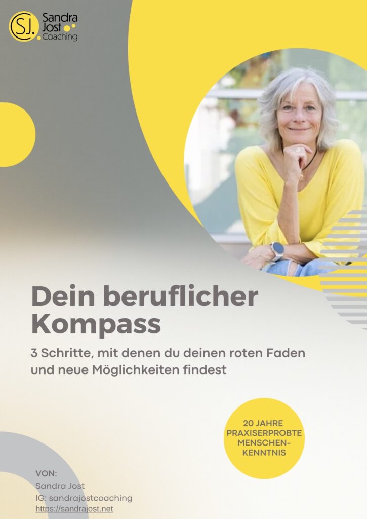 WORKBOOK dein beruflicher Kompass Sandra Jost Jobcoach